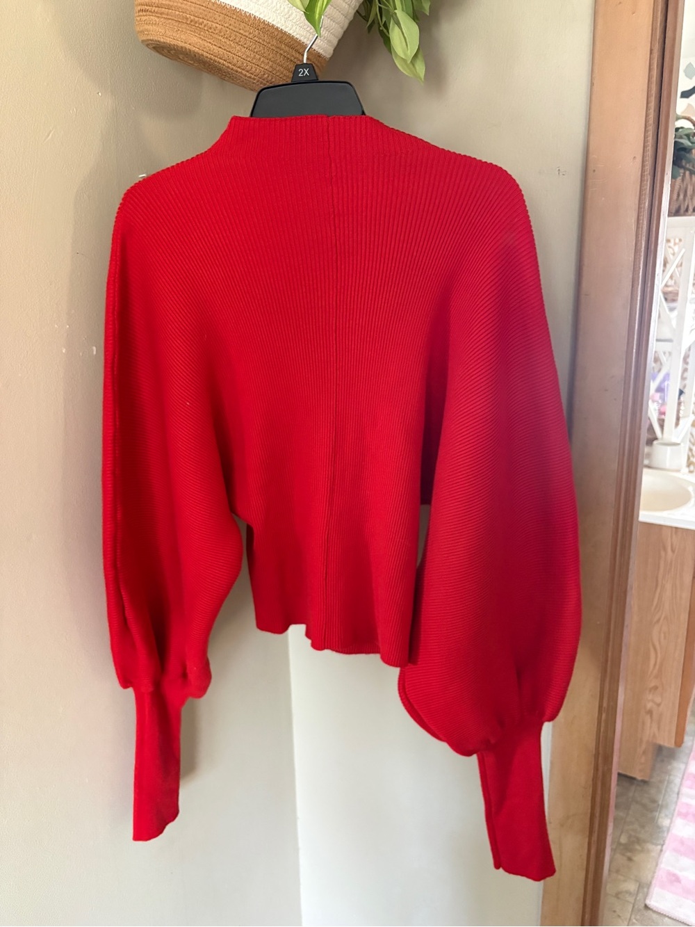 AKIRA Red Balloon Sleeve Cropped Sweater